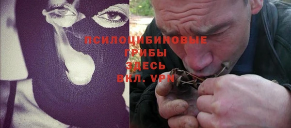 дмт Богданович