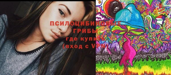 ГАЛЛЮЦИНОГЕННЫЕ ГРИБЫ Богородск