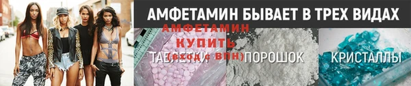 дмт Богданович