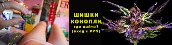метадон Богородицк