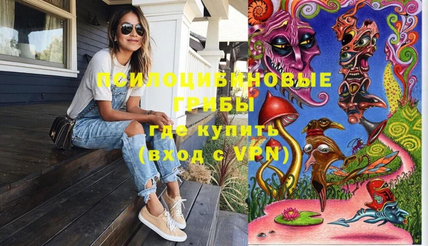 метадон Богородицк