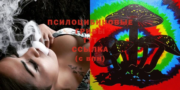 дмт Богданович