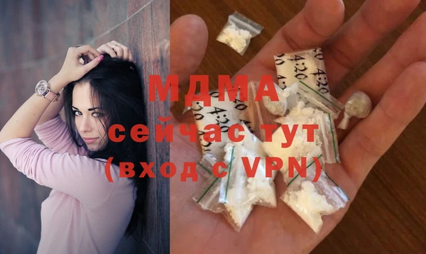 дмт Богданович
